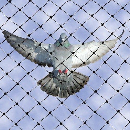 Is bird netting effective Is bird netting effective